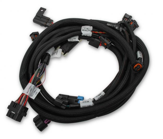 Holley EFI Ford Coyote Ti-VCT Sub Harness (2013-2017) 558-125