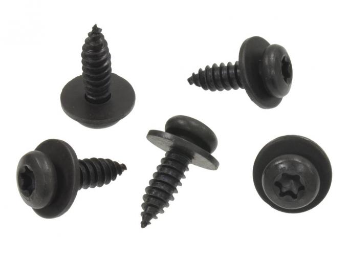 84-96 3/4" Torx Body Screws and Washers