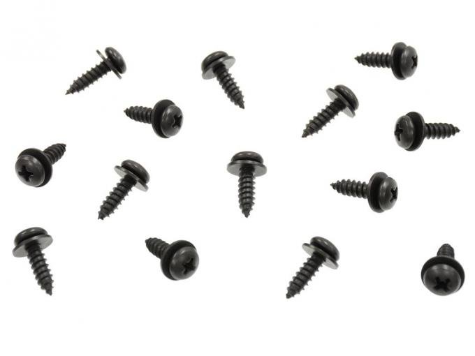 65 Rocker Moulding Screws